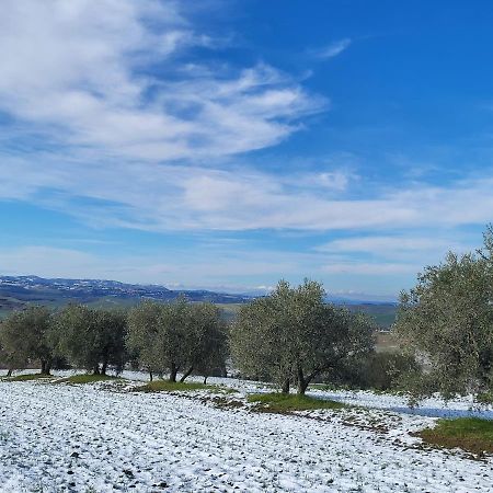 Dimora In Francigena Hotel San Quirico dʼOrcia Екстериор снимка